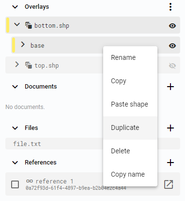 Duplicate layer